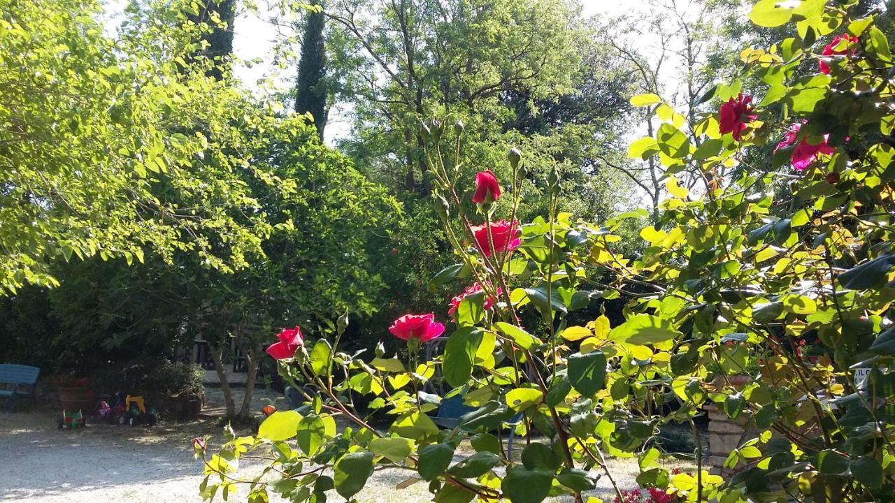 Agriturismo Alle Rose โวลแตร์รา ภายนอก รูปภาพ