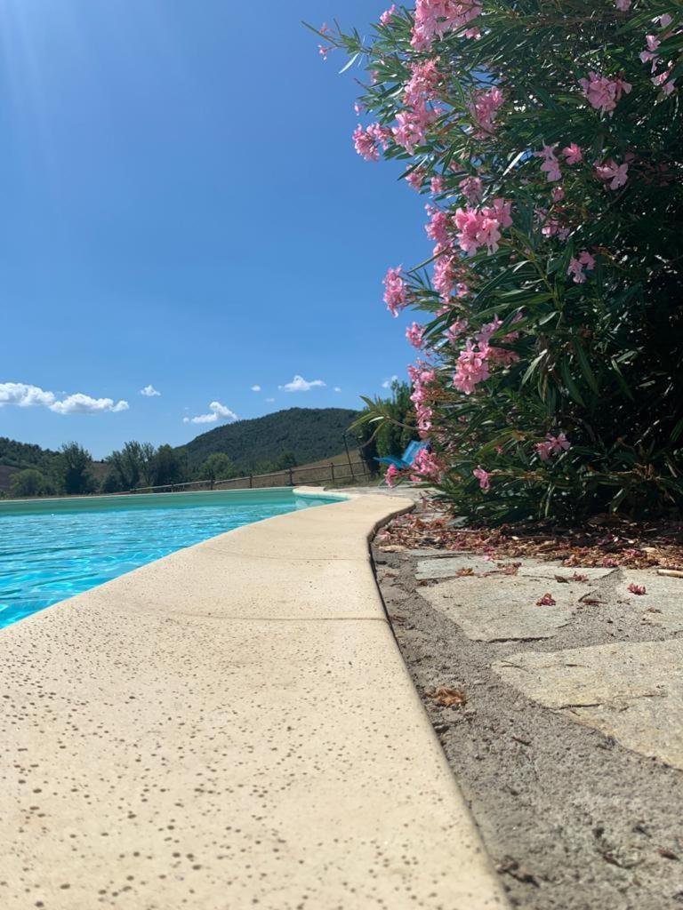 Agriturismo Alle Rose โวลแตร์รา ภายนอก รูปภาพ