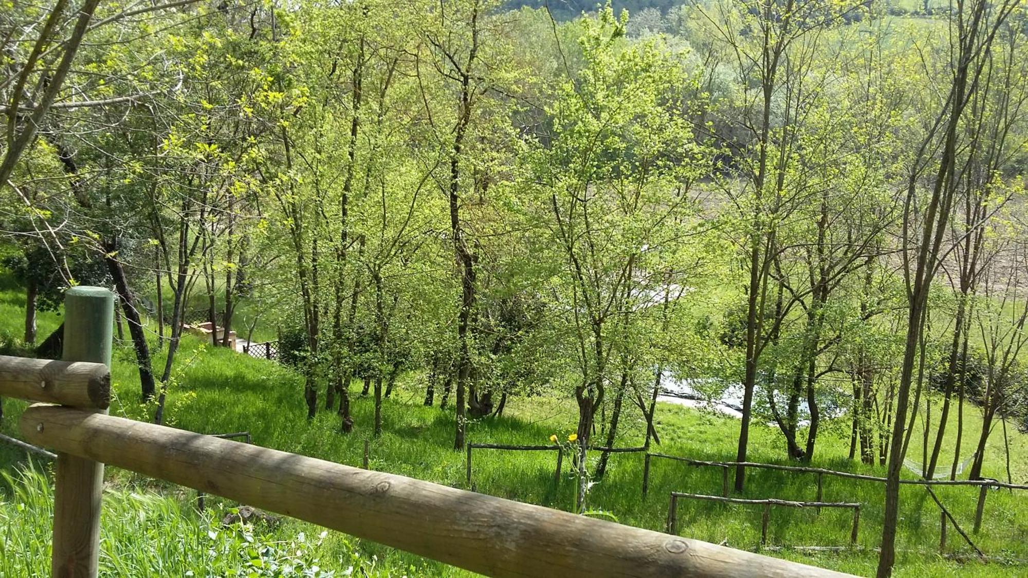 Agriturismo Alle Rose โวลแตร์รา ภายนอก รูปภาพ