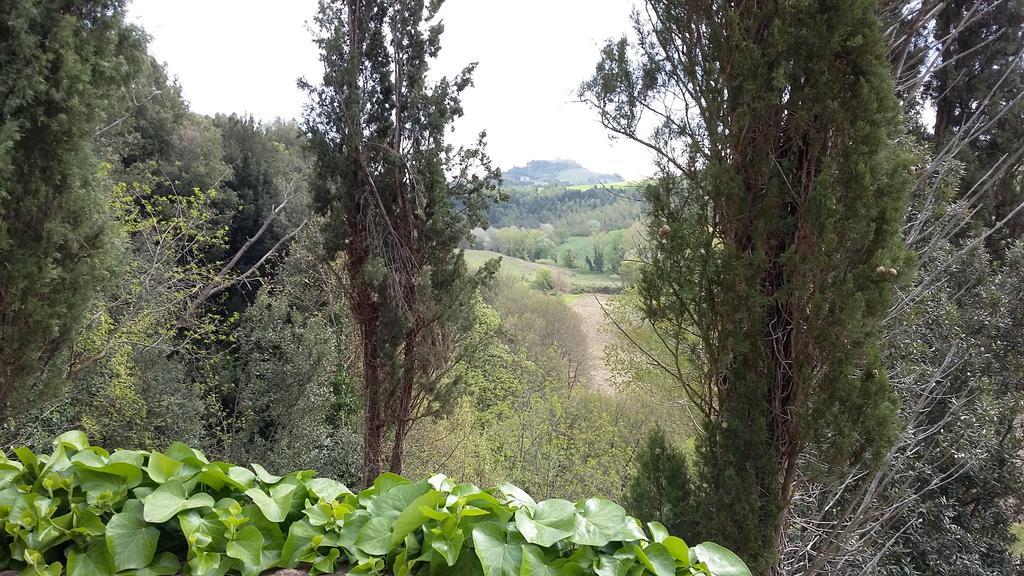 Agriturismo Alle Rose โวลแตร์รา ภายนอก รูปภาพ