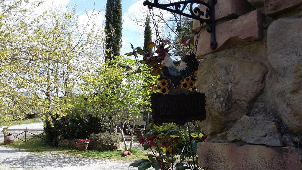 Agriturismo Alle Rose โวลแตร์รา ภายนอก รูปภาพ
